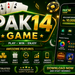 pak 14 game